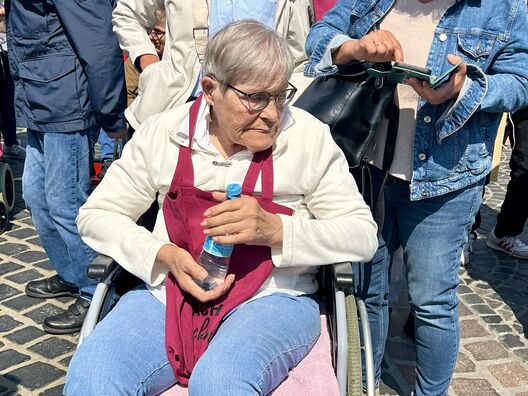 Protestmarsch 2026